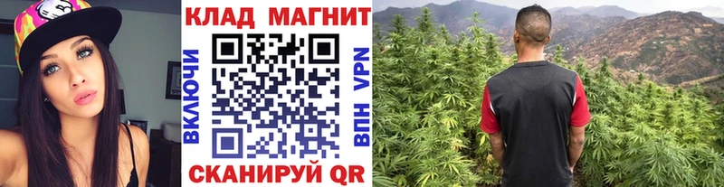 Где купить Самара Каннабис Cocaine Меф