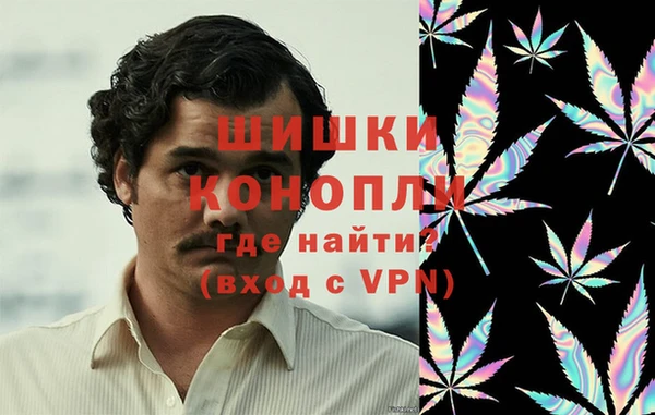 Альфа ПВП Елизово