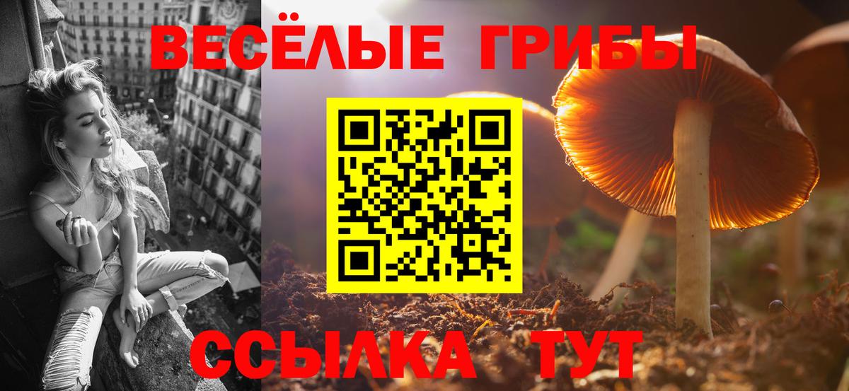 Самара  как найти закладки  Вход с VPN  Галлюциногенные грибы прущие грибы 