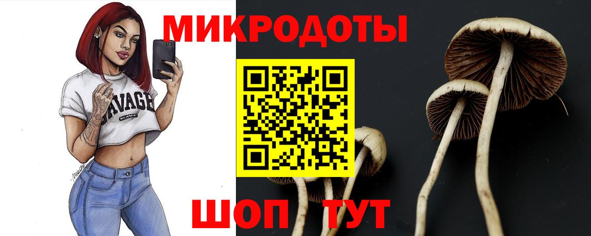Галлюциногенные грибы мухоморы Самара
