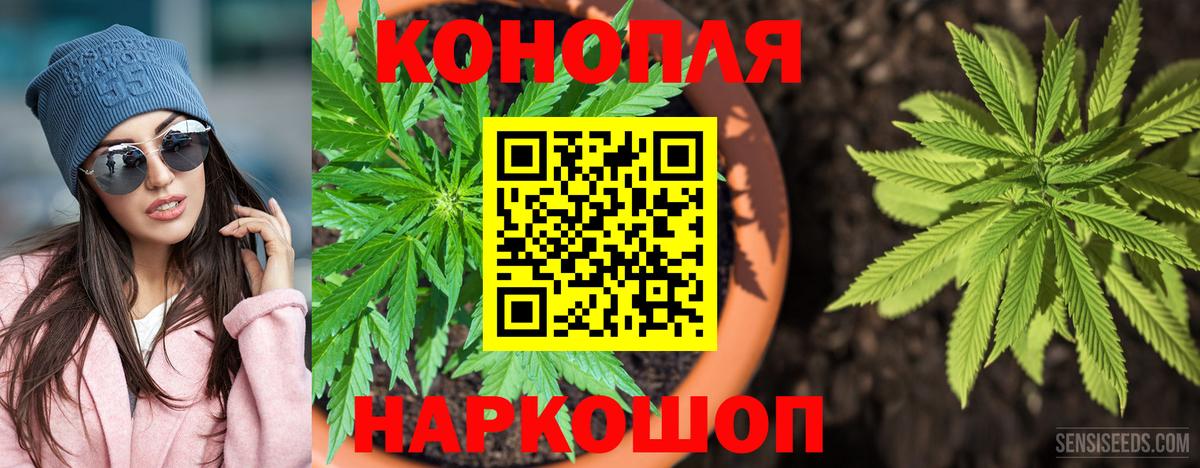 Каннабис семена Самара